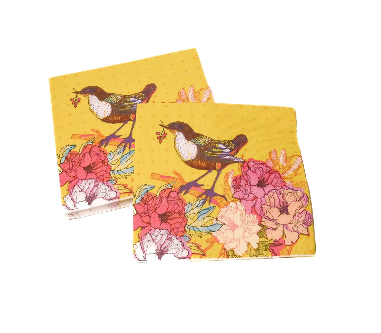 Serviettes_Pack of 20 (2ply)