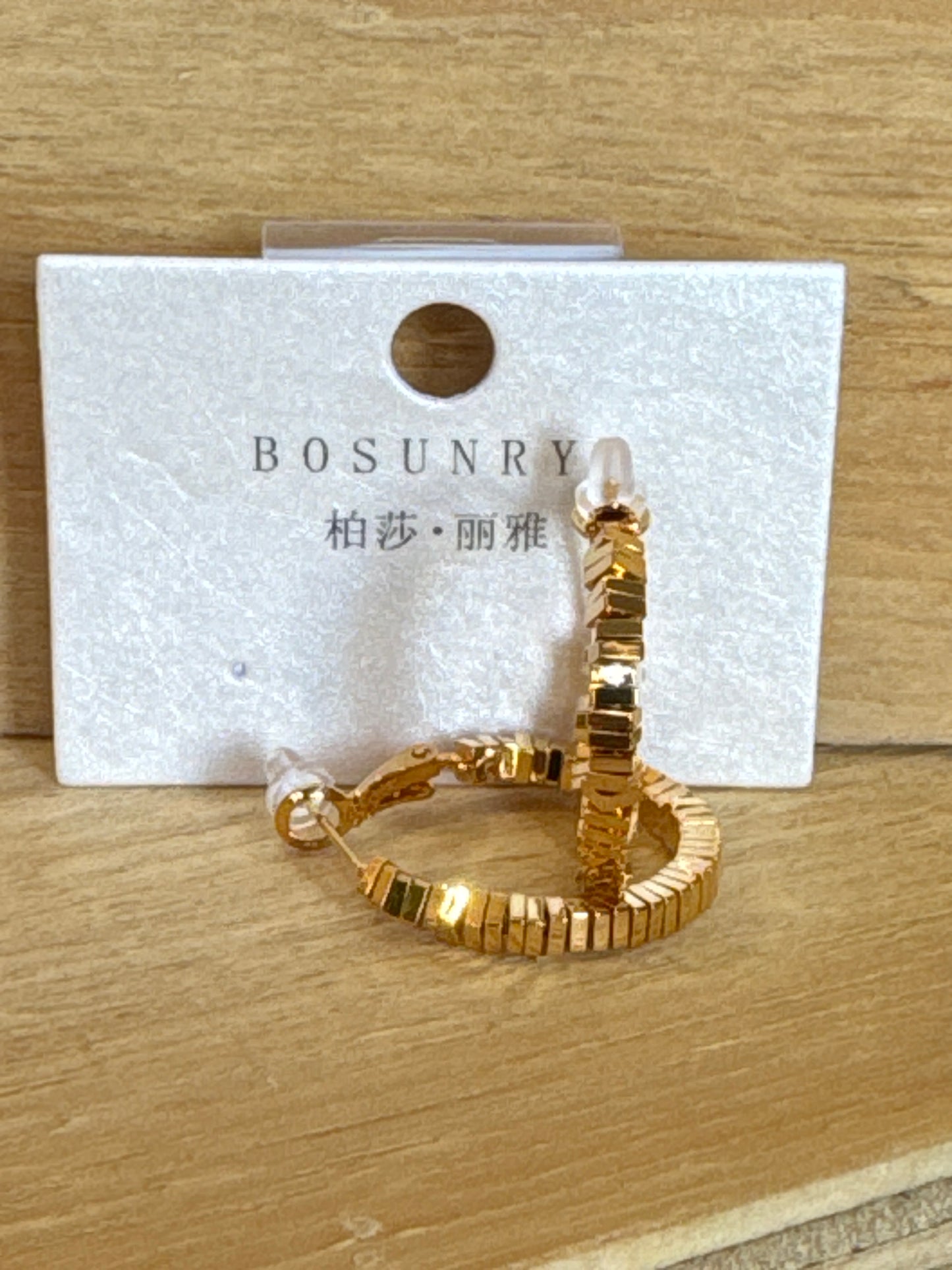 Earrings E20631J