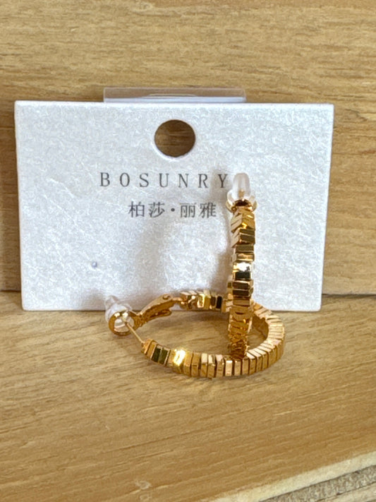 Earrings E20631J
