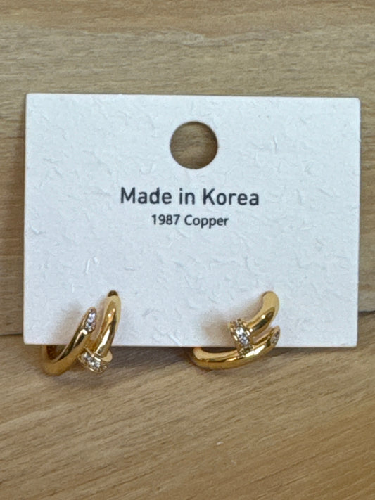 Earrings E21884J