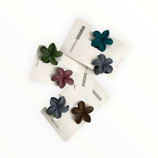 Hair Clips 12pack (R9ea)