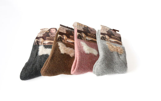 Wool Ladies Socks _Pack of 12