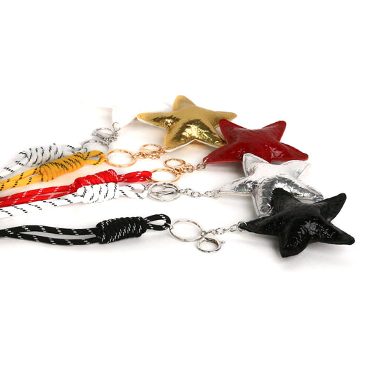 Bag Clip,Star 12 p/pack (R19,50ea)